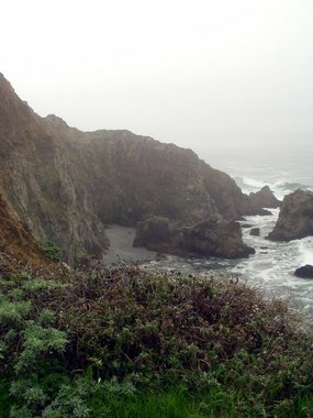 The steep cliffs of Tomales Bluff