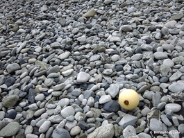 Beach rocks and fishing net float