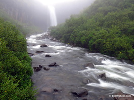 Downstream of the Svartifoss waterfall