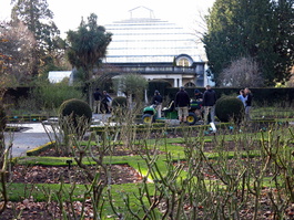 The Central Rose Garden in the Christchurch Botanic Garden is pruned by an army