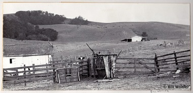 The Driscoll Ranch circa 1975 when we neighbors of the Driscolls and I developed my own photos