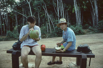Eating coconuts