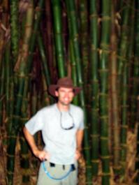 Blurry Bill in bamboo forest