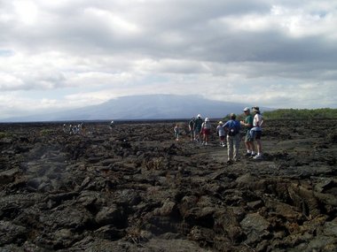 The group on lava with Volcán Cerro Azul in the background