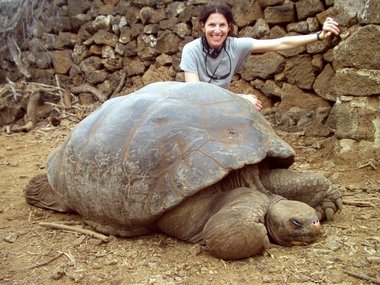 Tortoise and Lori