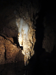 Fairly pristine stalactites hang in an air pocket in Chandelier Cave (Photo by Rafael Ruiz)