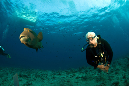 Bobby, who is on his fifth Palau Aggressor trip, is starting to act like the fish (Photo by John Schwind)