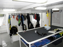 The camera table and dive briefing area complete with rubber chicken and compressed air for drying camera equipment (Photo by Keith Hebert)