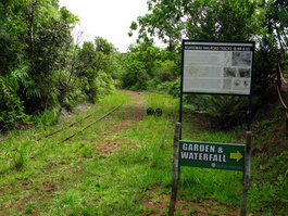 The Ngardmau railroad on the way to the Ngardmau waterfall