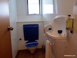 The toilet with very narrow sink