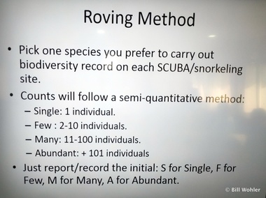 Our educational contribution: perform fish counts (Lori's fish was a barracuda, and mine was the dog snapper)