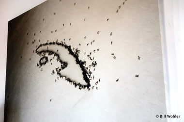 A photograph of ants in the shape of Cuba