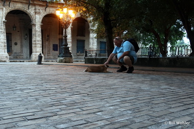Keith makes a friend on the (quiet) wooden bricks in front of the Museo de la Ciudad