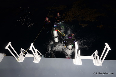 Lori and Deb take a night dive with Gale and Richard
