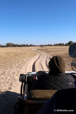 The roads were more sandy in Hwange than at Timbavati