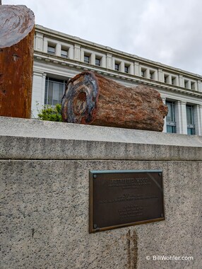 Petrified wood in front of the Smithsonian National Museum of Natural History