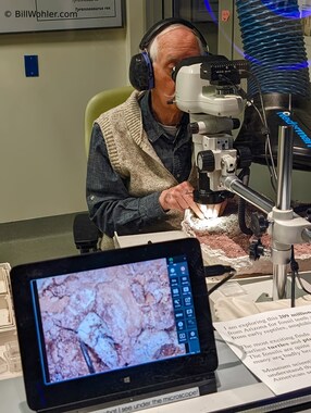 We watched this archaeologist carefully excise a tooth from rock