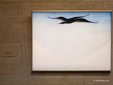 A Black Bird with Snow Covered Red Hills by Georgia O'Keeffe, 1946