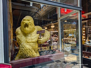 The "Gentlemens Saloon" where the barbers have tattoos, and the gorilla wields a "No dickheads" sign