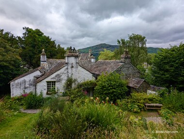 Dove Cottage from the backyard