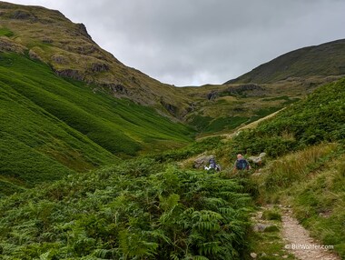 Lori and Tony climb through the bracken