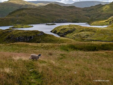 Angle Tarn