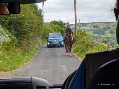 A bus, a car, a horse, and a very narrow road--somehow everyone went their merry way