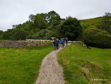 Our troop is blocked by a wall of sheep