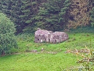 An old homestead