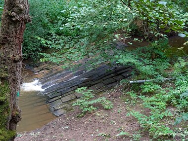 Tony said this weir was used to oxygenate the water for the fish