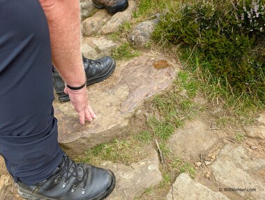 Tony points out the metallic iron in the path's stones