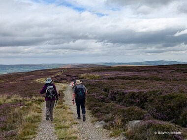 Lori and Tony stroll across the moors, like Catherine and Heathcliff