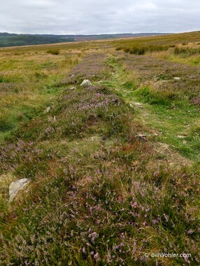 The Wheeldale Roman Road