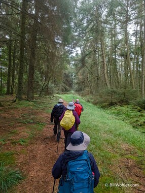 We get close to the spooky wood in the rain