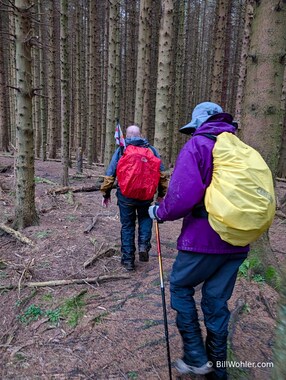 Tony and Lori venture through the "spooky woods"