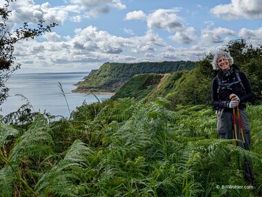 Lori, bracken, and the English coastline