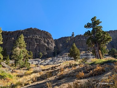 Hiking under the interesting Red Cliffs