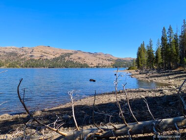 More of the Caples Lake shoreline