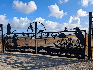 A new artistic gate to the Don Edwards SF Bay National Wildlife Refuge highlights the local denizens was installed along the new Flyway trail at the Bedwell Bayfront Park