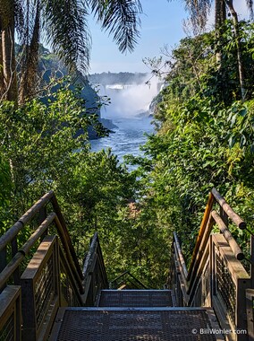 The Iguazu Falls from the lower trail