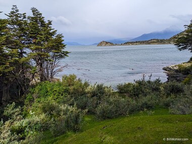 We stop to soak in the view of the coastline while I wonder what the diving in the kelp forest is like (hint: colder than Monterey)