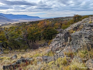 Granite, lenga, and broad vistas complement the lakes, glaciers, and mountains
