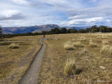 We descend from the rocky piles of rubble back to the native grasslands