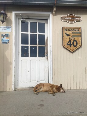Our third and last visit to La Leóna