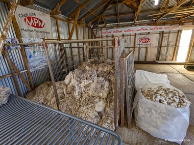 The wool of recently shorn sheep is piled up in the barn