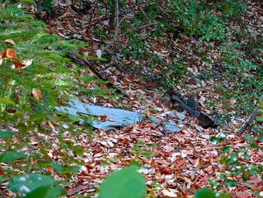 The only wreckage from the 1953 crash of the Resolution from Sydney visible from the trail (https://en.wikipedia.org/wiki/BCPA_Flight_304)