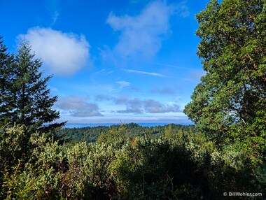 There is a nice picnic table on a high point with a view to the ocean