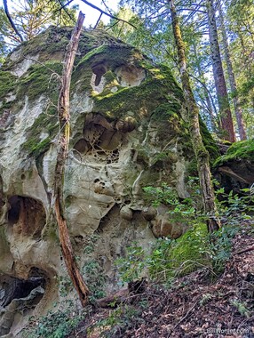 The tafoni (https://en.wikipedia.org/wiki/Tafoni) produces many unusual patterns