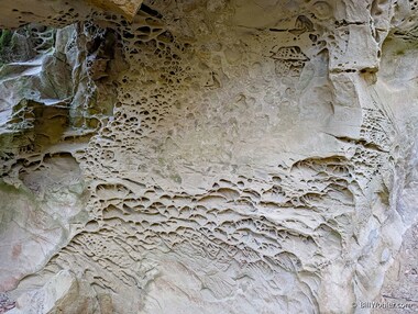 The tafoni (https://en.wikipedia.org/wiki/Tafoni) produces many unusual patterns