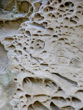 The tafoni (https://en.wikipedia.org/wiki/Tafoni) produces many unusual patterns